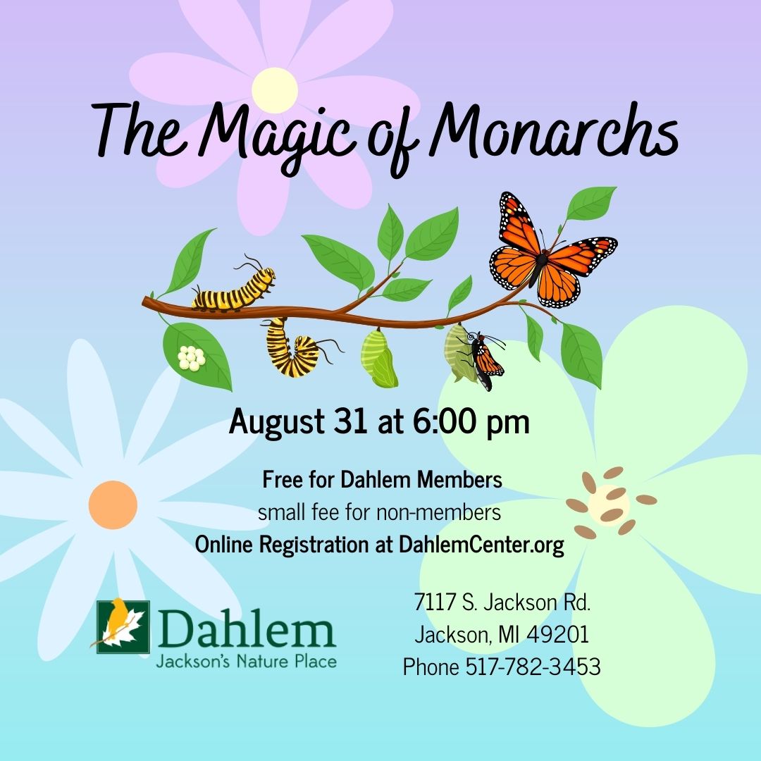 The Magic Of Monarchs program flyer
