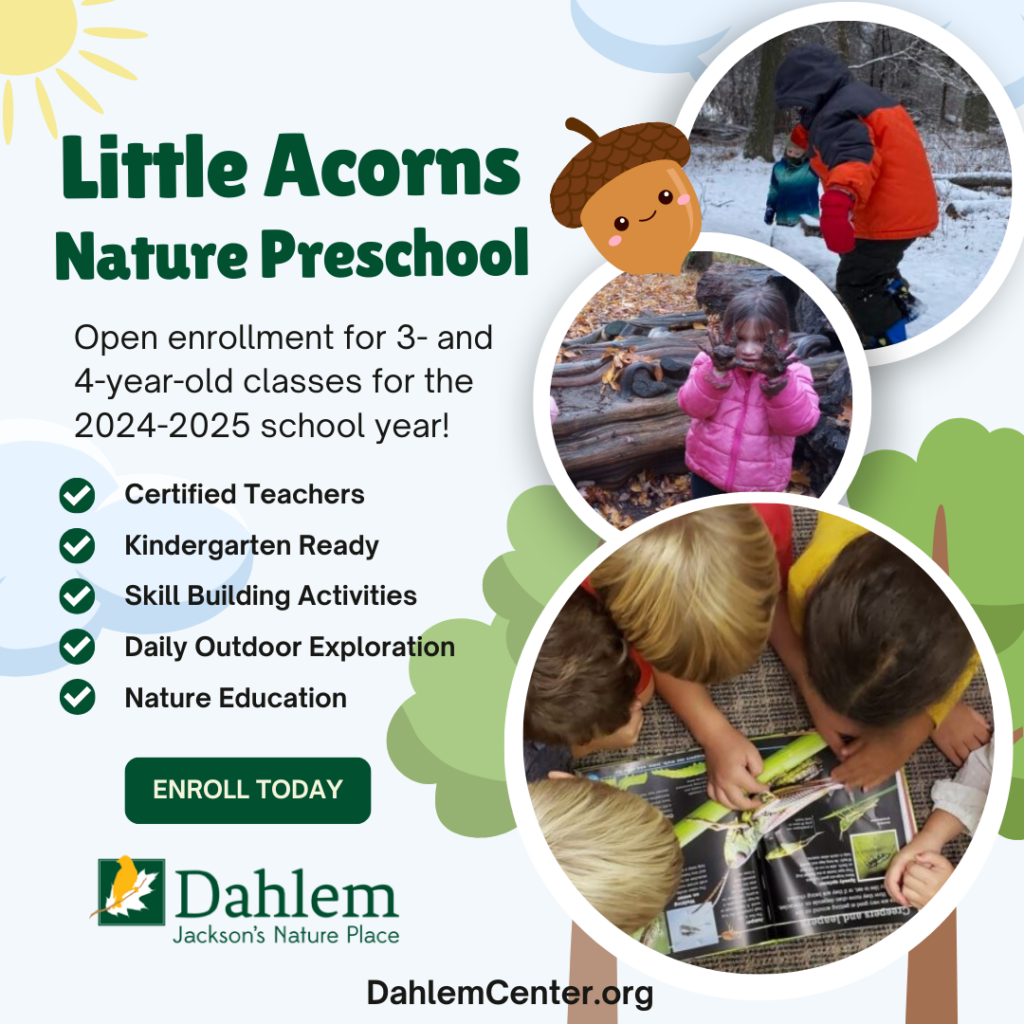 Dahlem's Little Acorns Nature Preschool open enrollment